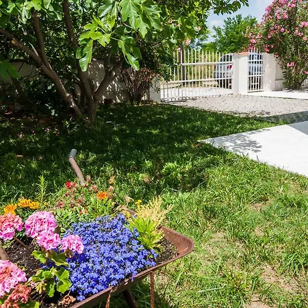 Vila Pianeta Privlaka (Zadar)